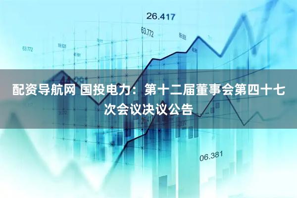 配资导航网 国投电力:第十二届董事会第四十七次会议决议公告