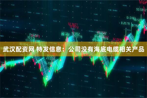 武汉配资网 特发信息:公司没有海底电缆相关产品